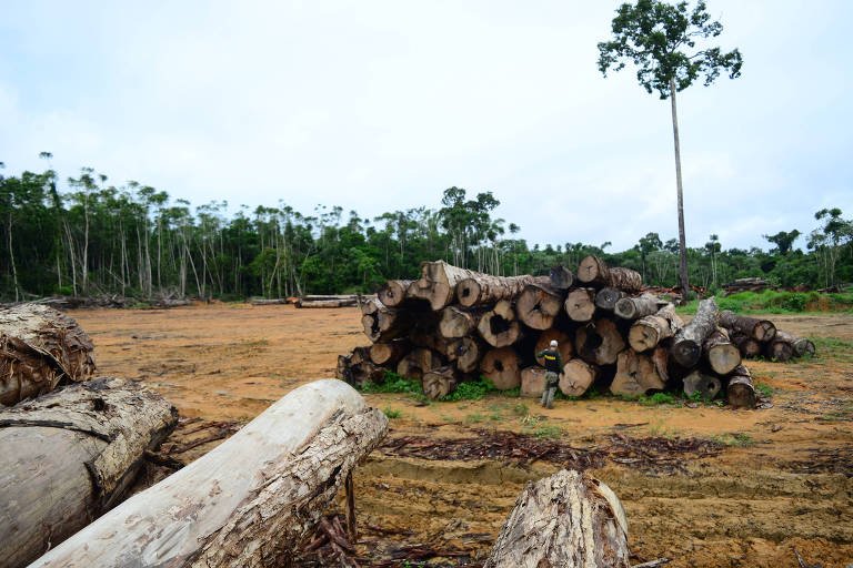 Rodrigo Agostinho apresenta projeto para impedir exploração de terras indígenas pelo agronegócio