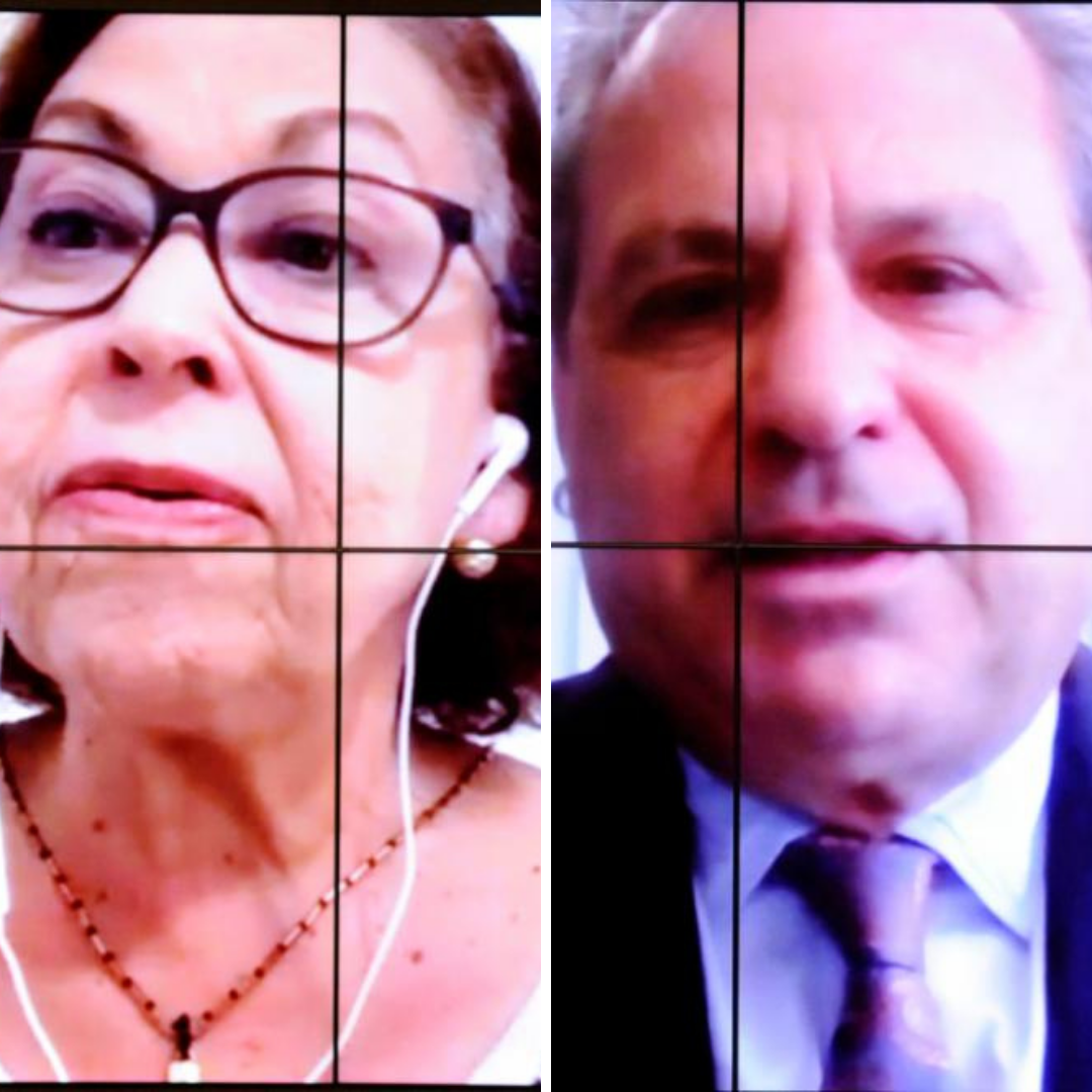 Tadeu e Lídice defendem resposta do Legislativo a ataques de Bolsonaro ao setor audiovisual