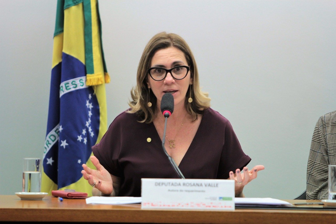 Rosana Valle defende a execução de obra para ligar as cidades de Santos e Guarujá