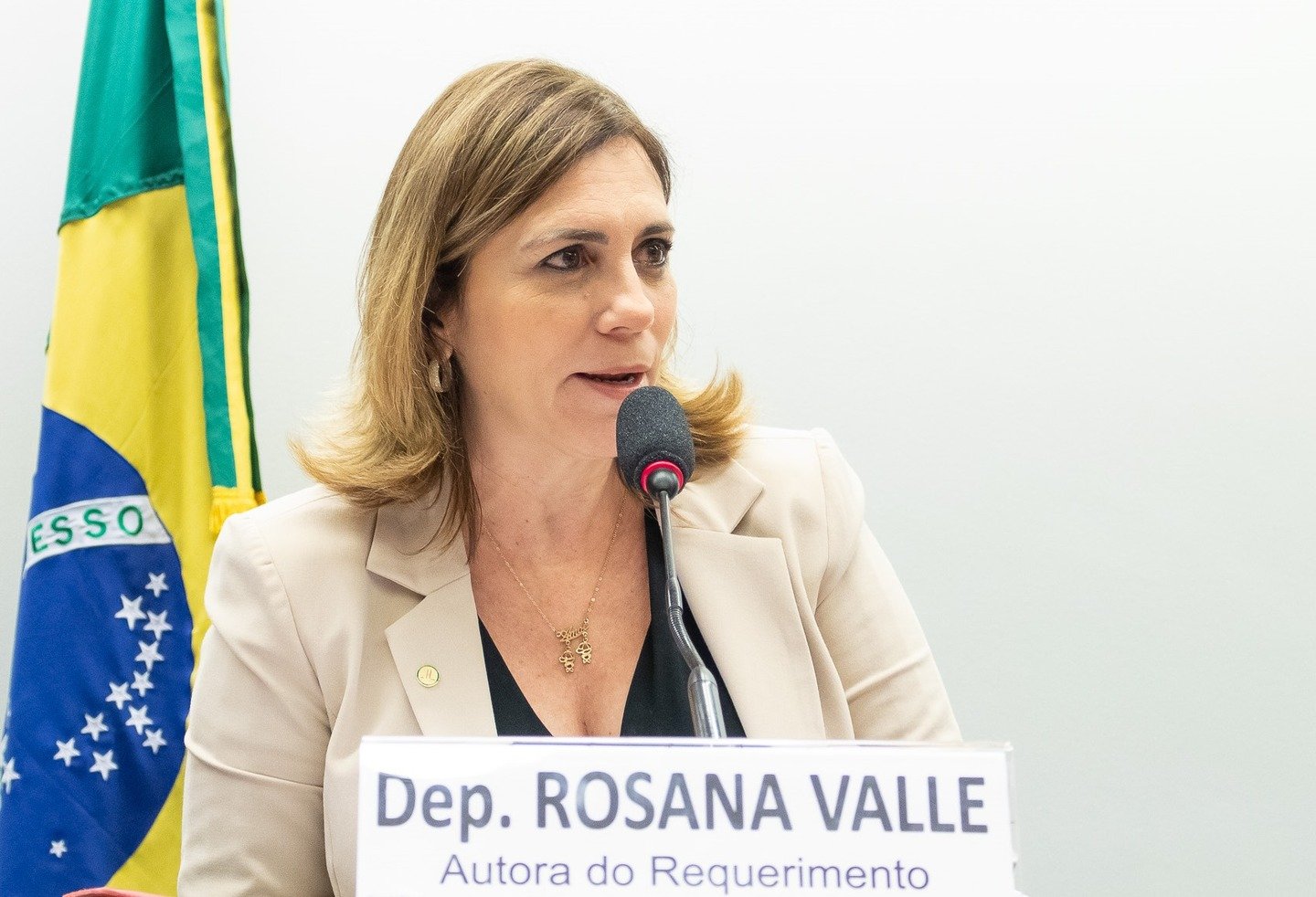 Secretaria da Mulher se manifesta contra censura à deputada Rosana Valle