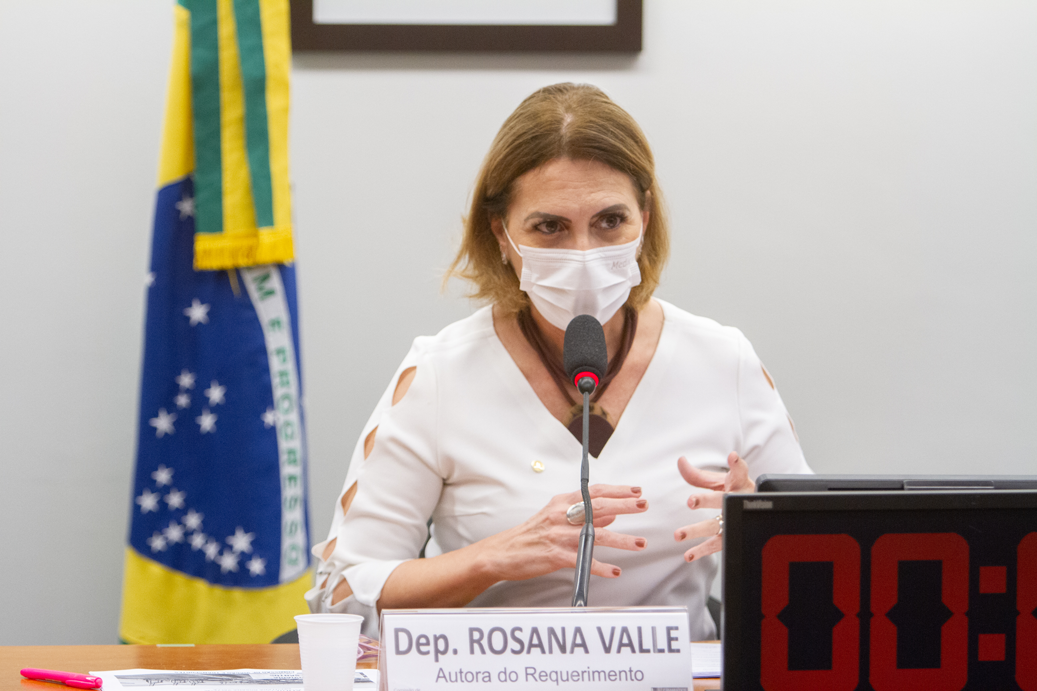 Deputada Rosana Valle