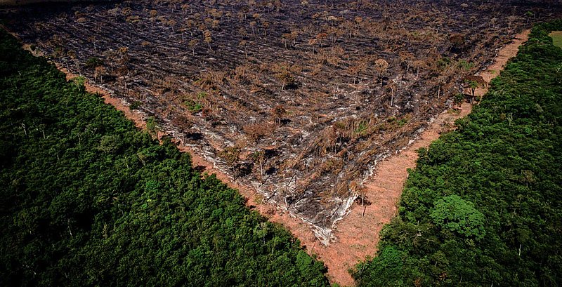 Rodrigo Agostinho: “desmatamento ilegal zero é o grande desafio para 2022”