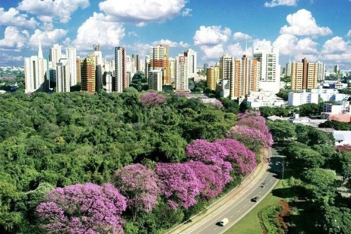 Comissão aprova projeto de Rodrigo Agostinho que cria Política Nacional de Arborização Urbana
